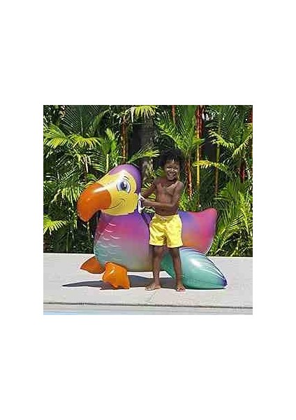 Dandy Dodo Çocuk Şişme Binici fiyatları