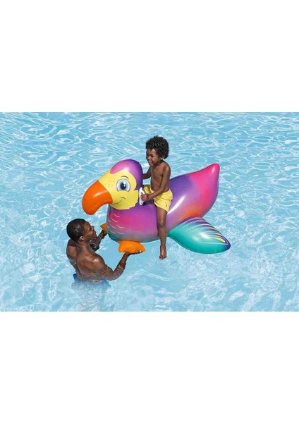 Dandy Dodo Çocuk Şişme Binici fırsatları