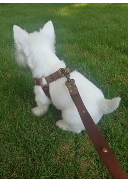 Köpek Göğüs Tasması Ayarlanabilir ve Gezdirme Kayışı Bedenli Set Takım Koyu Kahverengi