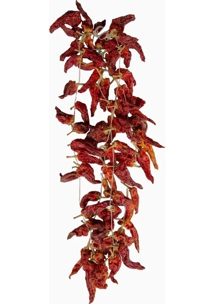 Denizli Tatlı Kale Biberi (Balon Biber) -10 Adet (Kızart-Şişir-Çıtırdat) modelleri