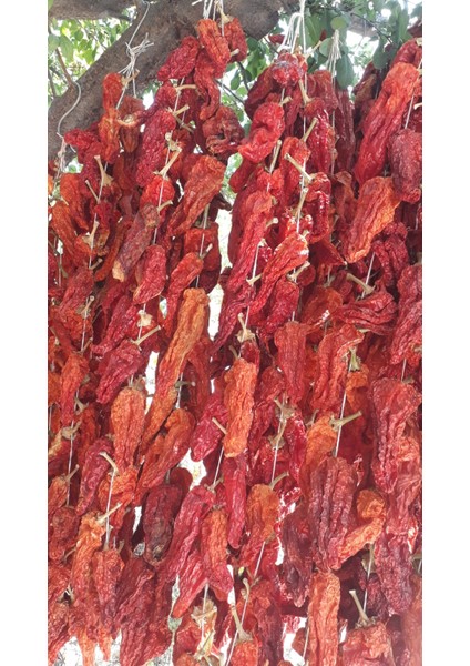 Denizli Tatlı Kale Biberi (Balon Biber) -10 Adet (Kızart-Şişir-Çıtırdat)