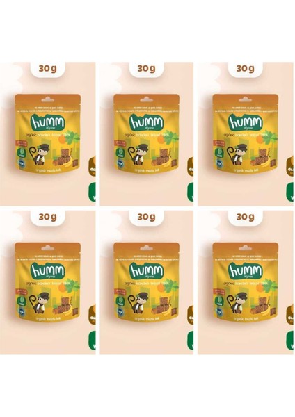 Organik Glutensiz Vegan Muzlu Kek - 30G * 6 Adet