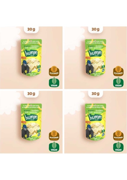 Organik Glutensiz Vegan Muzlu Mini Küpler Atıştırmalık Paketi - 4 Adet * 30 G