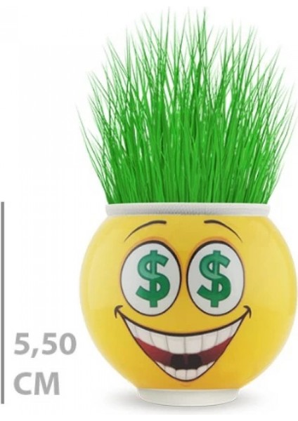 - Çim Adam Saksı Emoji Figürlü 1 Adet modelleri