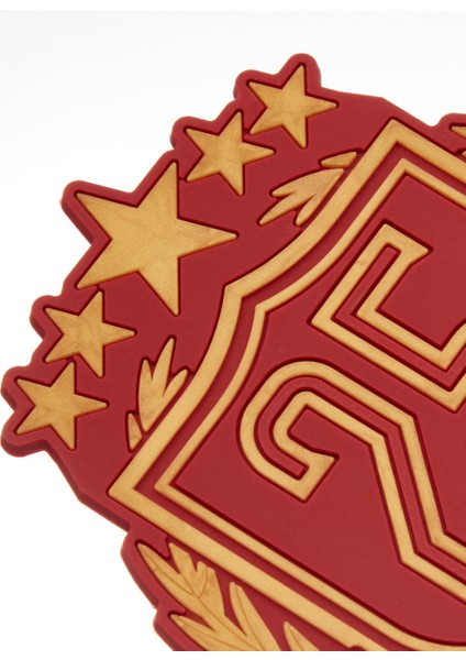 Galatasaray 25. Şampiyonluk Bardak Altlığı U251420 modelleri