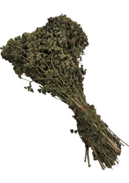 Doğal Dağ Kekiği Demet (Bilye Demet Kekik) modelleri