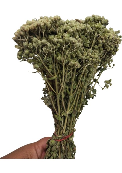 Doğal Dağ Kekiği Demet (Bilye Demet Kekik) fırsatları