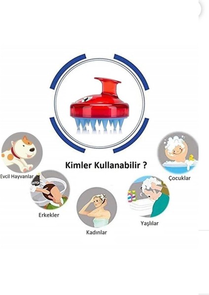 Saç Ta Kullanılan Masaj Fırçası