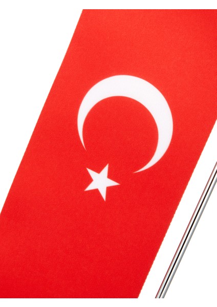 Galatasaray 5 Yıldızlı L Masa Bayrağı U251483 modelleri