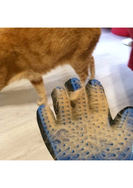 - Tüy Toplama Eldiveni