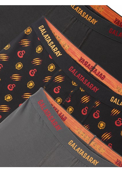 Galatasaray 3'lü Erkek Boxer E242306 fiyatları