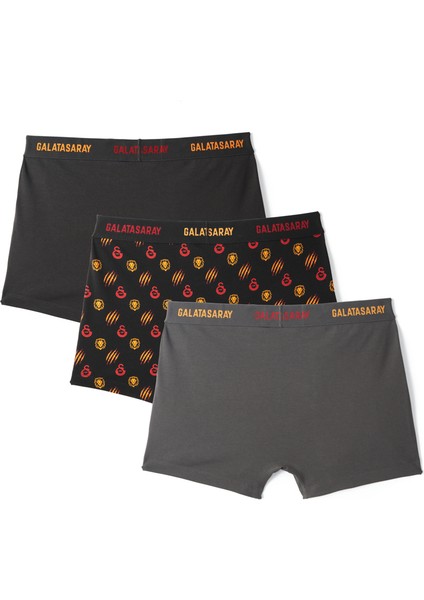 Galatasaray 3'lü Erkek Boxer E242306 modelleri