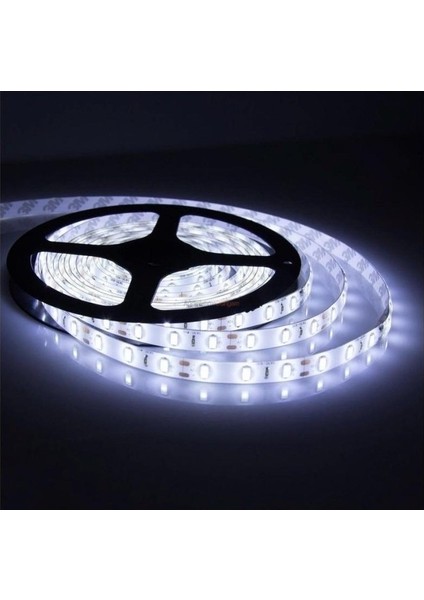 12V 4040 Iç Mekan 6500K Beyaz Işık Şerit LED 10 Metre