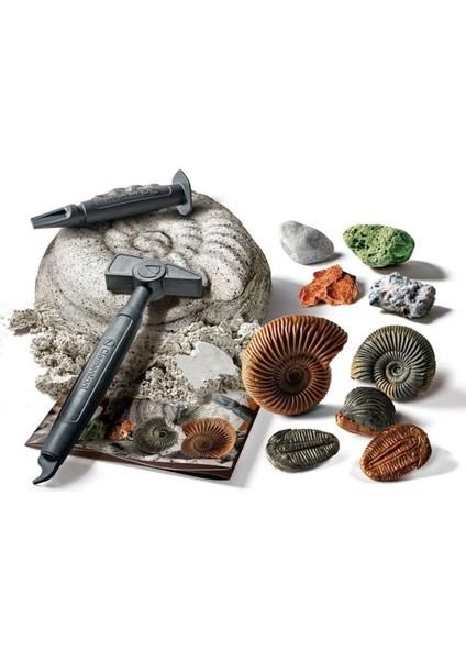 64336 Bilim ve Oyun - Fosiller ve Mineraller Kazı Seti modelleri