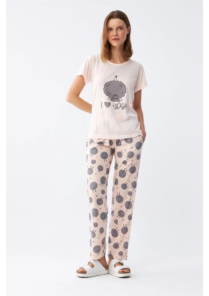 Kadın Kısa Kol Pijama Takım Pudra fiyatları