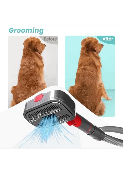 Vakum V7 V7 V8 V10 V11 V12 V15, Köpek Bakım Fırçası Ek, Köpek Kaçağı Bakım Araçları (Yurt Dışından) fiyatları