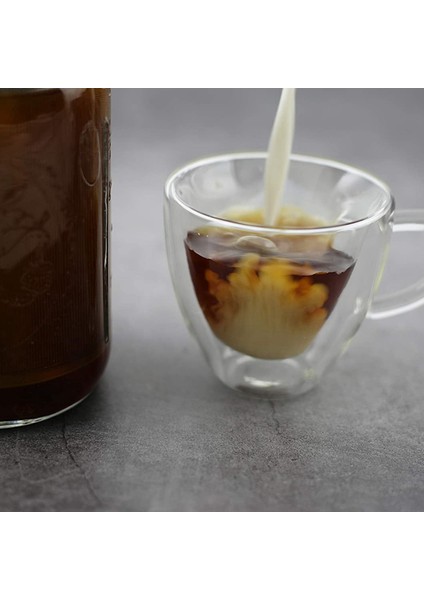 2x Kahve Filtesr Geniş Ağız Mason Kavanoz Paslanmaz Çelik Ultra Ince Çay Meyve Infuser Buz Kahve Makinesi (Yurt Dışından) fırsatları