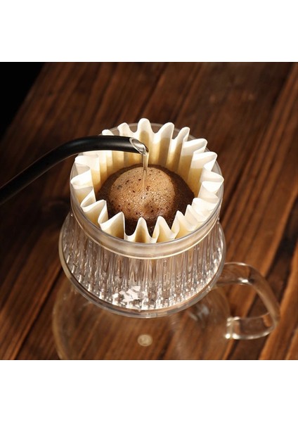 Değişken Hızlı Damla Kahve Filtre Kupası Damla Stil Kahve Huni Filtresi Düz Alt Damla Filtre Kek Filtre Kupası (Yurt Dışından) fırsatları