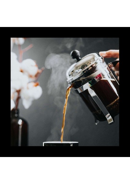 4 Paket Fransız Pres Yedek Filtreleri Mesh Ekranı 34 Oz 8 Fincan Fransız Pres Için (Yurt Dışından) indirimleri