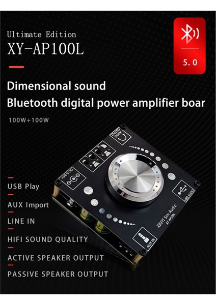 2x XY-AP100L 100WX2 Bluetooth 5 0 Stereo Amplifikatör Kart Aux USB Ses Kartı Dijital Güç Amplifikasyonu Ampifikador Dc 12V 24V (Yurt Dışından) modelleri