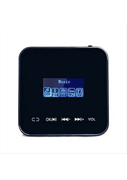 20W x 2ch Amplifikatör Sesli Su Kanıtı (Siyah) ile Duvar Hacmi Kontrolünde Akıllı Ev (Yurt Dışından)