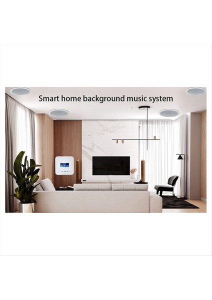 20W x 2ch Amplifikatör Sesli Su Kanıtı (Siyah) ile Duvar Hacmi Kontrolünde Akıllı Ev (Yurt Dışından) indirimleri