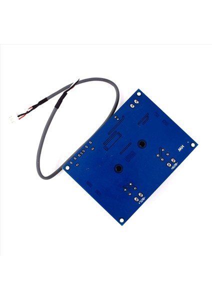 2x TPA3116D2 TPA3116 Çift Kanallı Stereo Yüksek Güçlü Dijital Sesli Güç Amplifikatör Kartı 2X120W Amplificador Dıy Modül (Yurt Dışından) indirimleri