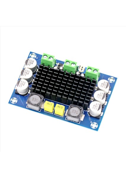 2x 100W TPA3116D2 Mono Amplifikatör Kurulu Sınıfı Dc 12V-26V Dijital Ses Güç Amplifikatörü Ses Kartı Amp (Yurt Dışından) fırsatları