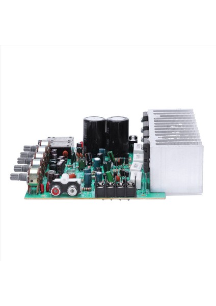 2x Ses Amplifikatör Kart Hıfı Dijital Yankı Güç Amplifikatörü 250W x 2 2 0 Ses Preamp Arka Amplifikasyon (Yurt Dışından) modelleri