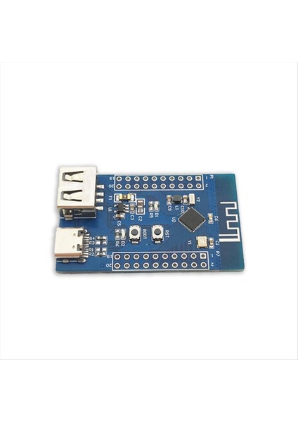 Bluetooth 5 3 Rf2 4g Mikrodenetleyici Çok Fişli Taşınabilir Düşük Güç Bluetooth Çift USB Rısc-V Modülü (Yurt Dışından) modelleri
