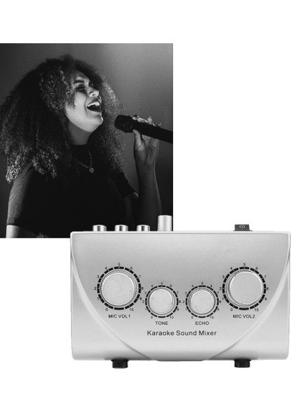Karaoke Ses Mikseri Taşınabilir Ses Mikseri Profesyonel Ses Sistemi Karaoke Çift Mikrofon Girişleri Ses Ses Mikseri Gümüş (Abd) (Yurt Dışından) fiyatları
