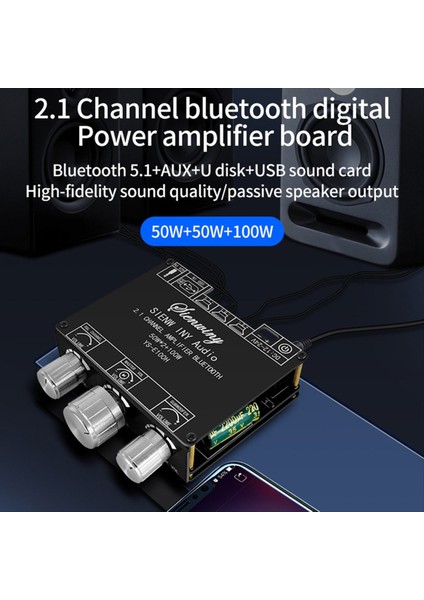 50WX2+100W YS-E100H 2 1 Hi-Lo Subwoofer TPA3116 Taşınabilir Uygun Kanal Bluetooth Ses Amplifikatör Kartı Modülü (Yurt Dışından) fiyatları