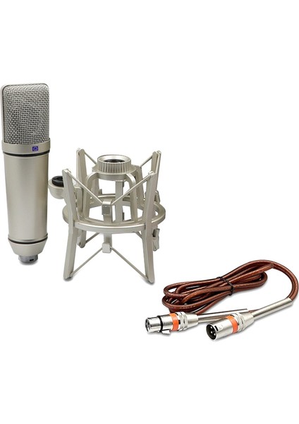Kondenser Mikrofon Profesyonel Kardiyoid Studio Mic Podcasting Voice Home Studio (Yurt Dışından)
