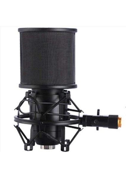 3x Mikrofon Şok Montajı Mikrofon Filtre Ön Cam Süspansiyon Şok Montaj Tutucu Klipsi (Yurt Dışından) fiyatları