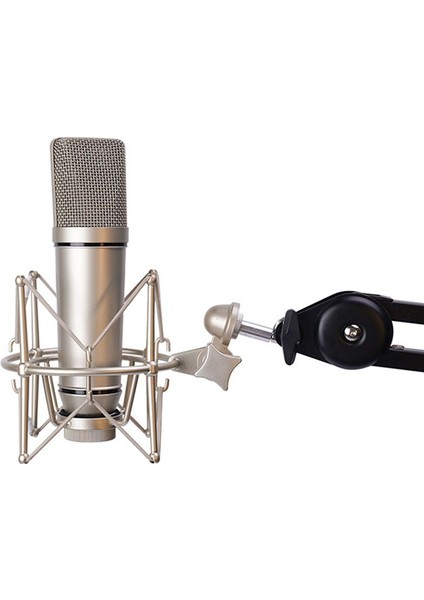 Mikrofon Şok Montaj Ayarlanabilir Montaj Kayıt Mikrofon Standı Metal Braket Pod Mikrofon Standı (Siyah) (Yurt Dışından) fiyatları