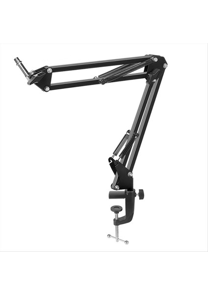 Podcasting Video Oyunları Radyo ve Stüdyo Sesleri Için Masa Üstü Olan 25CM Mikrofon Bom Kolu D (Yurt Dışından)