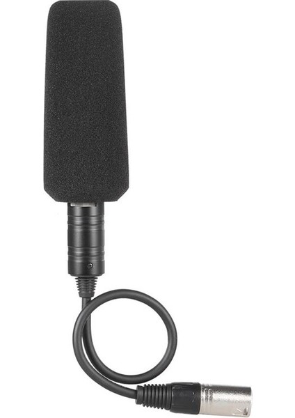 Video Kayıt Röportajı Sony Panosonic Kamera Için Stereo Kondenser Unidictional Mikrofon Mikrofonu (Yurt Dışından) indirimleri