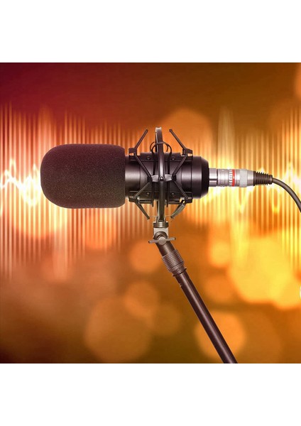 24PCS Mikrofon Standı Iplik Adaptör Seti 5/8 Dişi Ila 3/8 Erkek ve 3/8 Dişi Ila 5/8 Erkek Vidalı Adaptör Iplik (Yurt Dışından) indirimleri