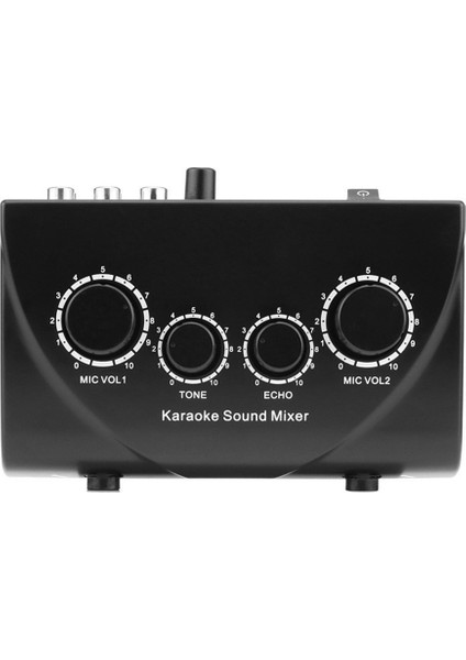 Karaoke Ses Mikseri Taşınabilir Ses Mikseri Profesyonel Ses Sistemi Karaoke Çift Mikrofon Girişleri Ses Ses Mikseri Siyah (Abd) (Yurt Dışından)