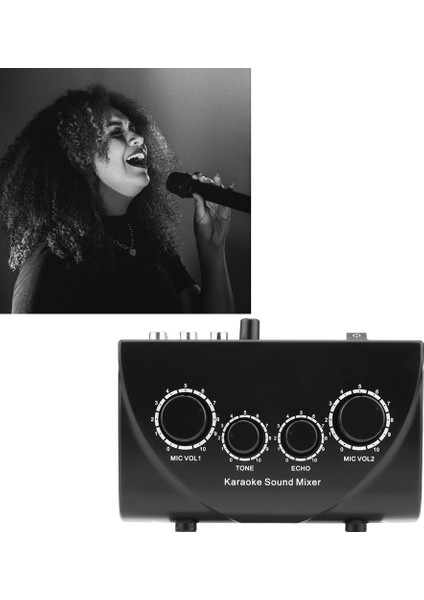 Karaoke Ses Mikseri Taşınabilir Ses Mikseri Profesyonel Ses Sistemi Karaoke Çift Mikrofon Girişleri Ses Ses Mikseri Siyah (Abd) (Yurt Dışından) fiyatları