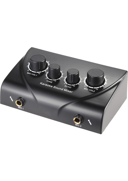 Çift Mikrofon Girişleri Amplifikatör Için Ses Ses Mikseri Siyah Abd Fişi ve 1 USB Bluetooth Verici Alıcısı (Yurt Dışından) modelleri