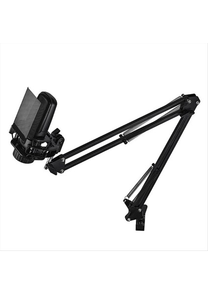 ZX85 Vokal Stüdyosu Kayıt Karaoke Yayını Asmr Gaming Mikrofonu Konsol Braketi B ile (Yurt Dışından)