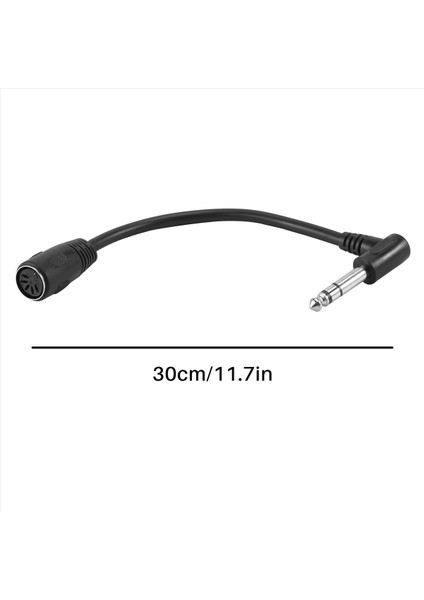 2x Mıdı Kablosu 5 Pimli Din Dişi Ila Monoprice 6 35MM (1/4 Inç) Erkek Trs Stereo Ses Uzatma Kablosu (Yurt Dışından)