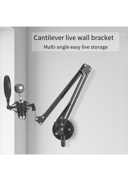 Ayarlanabilir Braket Duvara Monte Mikrofon Desteği Sabit Taban Delme Delikleri Evrensel Mikrofon ve Işık Tutucu (Yurt Dışından)