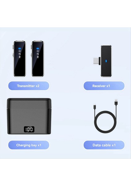 Kablosuz Lavalier Mikrofon Mini Taşınabilir Lavalier Mikrofon Çift Kanallı Ses Video Kaydı LCD Ekran Tip-C (Yurt Dışından) modelleri