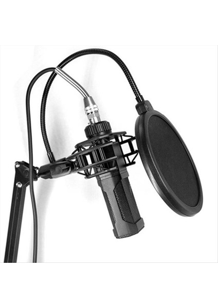 Mikrofon Filtresi Studio Mic Kapağı Kayıt Anti Sprey Kapak Kalkanı Esnek Gooseeck ve Kelepçe (Yurt Dışından) modelleri