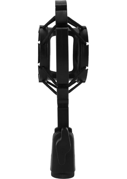 10X Universal Profesyonel Kondenser Mikrofon Mikrofon Şok Montaj Tutucu Studio Kayıt Braketi (Yurt Dışından) modelleri