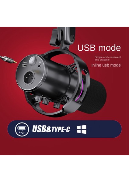 Dinamik Mikrofon Xlr Connect 48V Ses Kartı Kayıt Durgıng ve Sanıng Ekipmanları USB Bilgisayar Oyunu Canlı Mikrofon (Yurt Dışından)