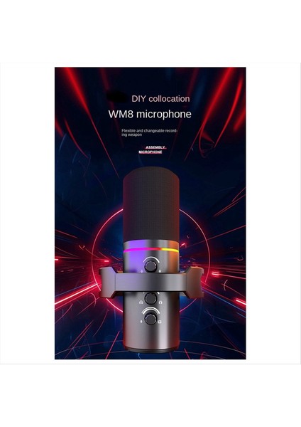 Dinamik Mikrofon Xlr Connect 48V Ses Kartı Kayıt Durgıng ve Sanıng Ekipmanları USB Bilgisayar Oyunu Canlı Mikrofon (Yurt Dışından) modelleri