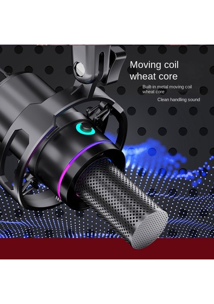 Dinamik Mikrofon Xlr Connect 48V Ses Kartı Kayıt Durgıng ve Sanıng Ekipmanları USB Bilgisayar Oyunu Canlı Mikrofon (Yurt Dışından) fırsatları